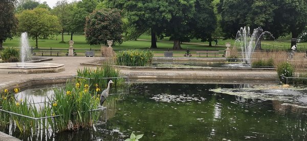 В том же парке милый уголок