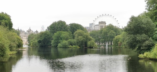 Вид на пруд и колесо обозрения