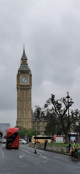 Известный вид