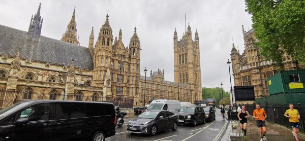 Известный вид