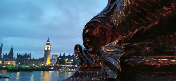 Рыбов тоже показывают