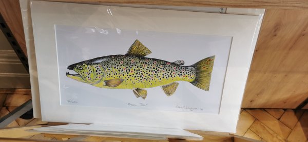 Рыболовный магазин на Пикадилли