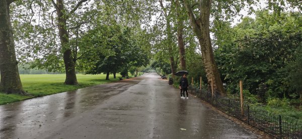 Риджентс парк