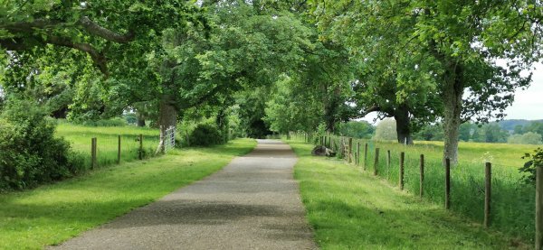 В гости к графу