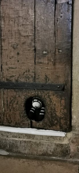 Вязаный Котик выглядывает из дырки