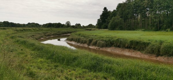 Уровень видно тоже колеблется сильно