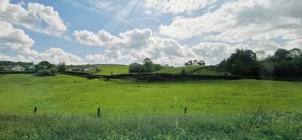 Поля, то зеленые, то перепаханные