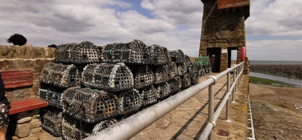 Краболовки