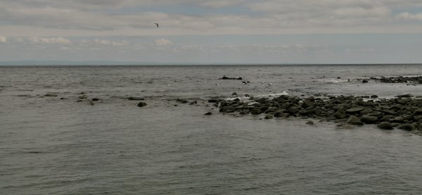 Впадение реки в море