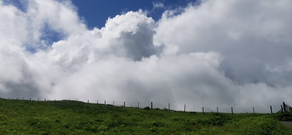 Пейзаж в пустошах - мурах в Dartmoor