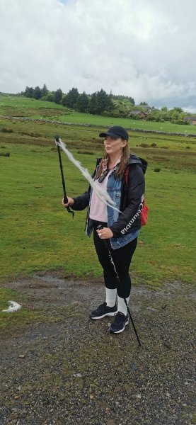 Овцы теряют часть драгоценной шерсти