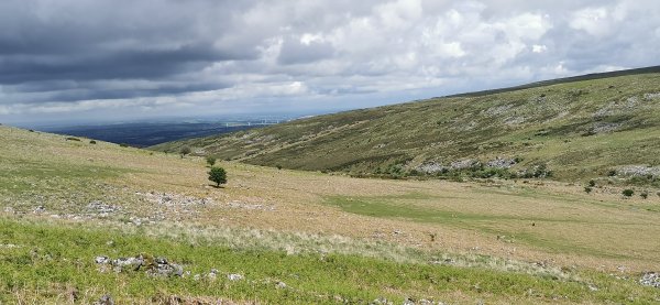 Пейзаж Dartmoor National Park