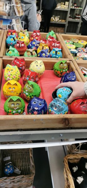 Аббатство Бакфаст Котики