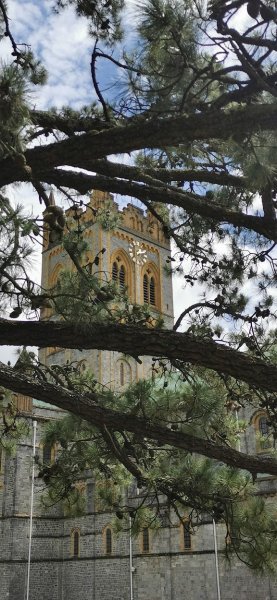 Аббатство Бакфаст