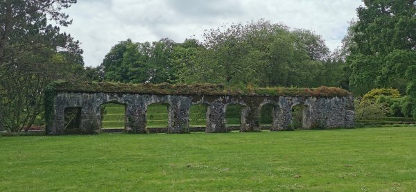 Даррингтон холл