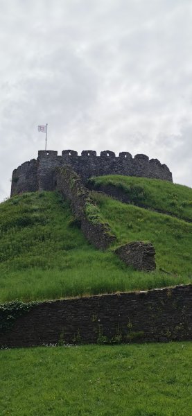 Замок Тотнес