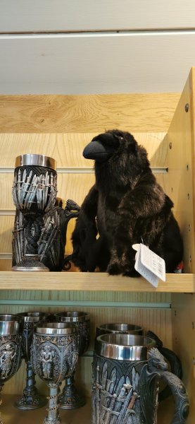 Ворон в Тотнесе