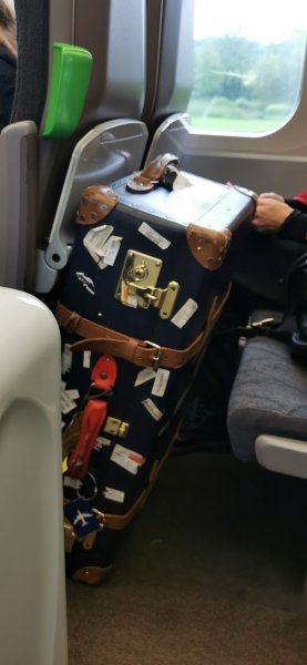 Старый чемодан у дамы в поезде