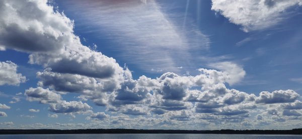 Сенеж, 23 июня 2024