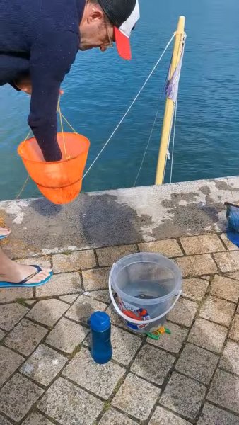 Ловят крабов. Эти сказали, что ловят поймал-отпусти