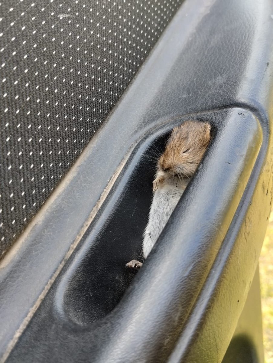 WhatsApp Image 2024-07-29 at 20.59.01.jpeg