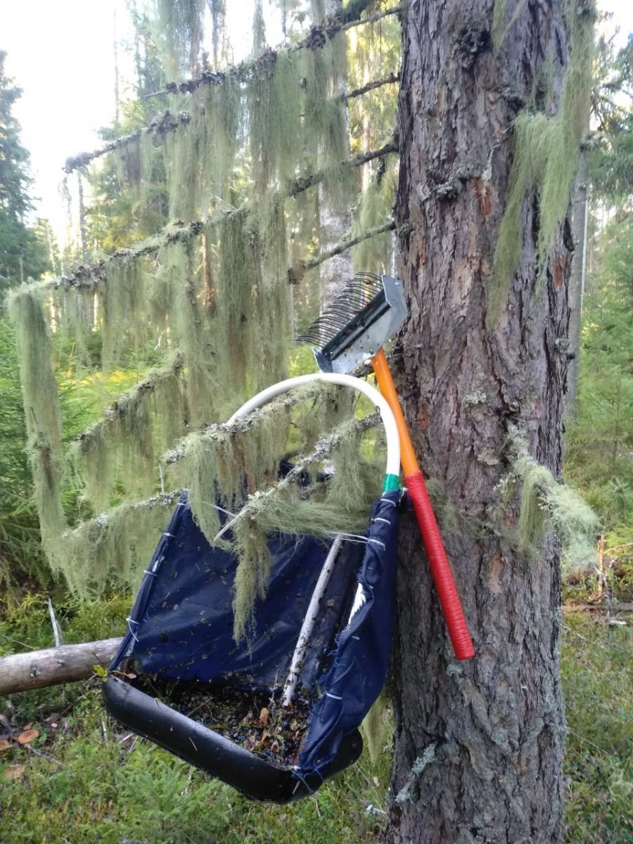 WhatsApp Image 2023-08-18 at 17.33.46.jpeg