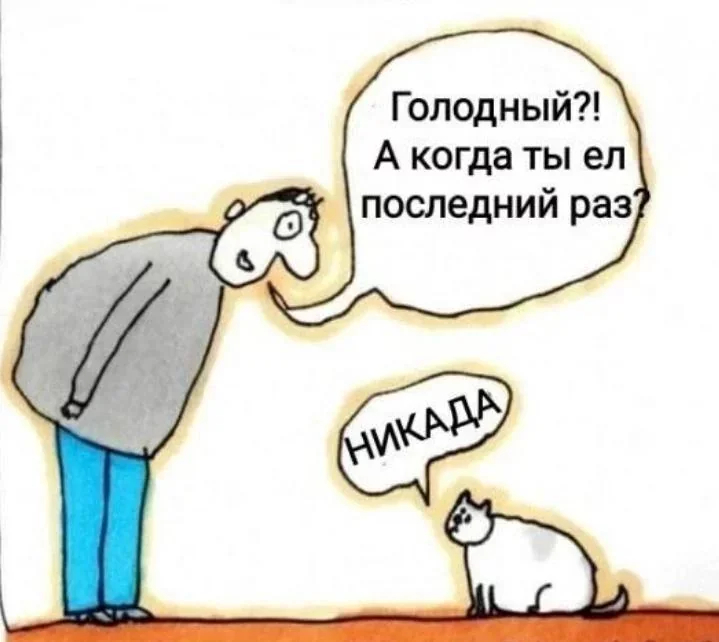 вечно-голодный-v0-tveno6tz99ed1.webp