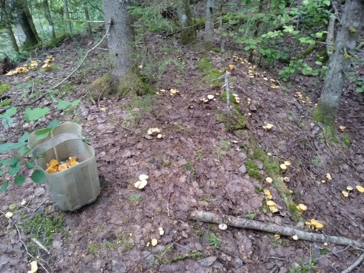 WhatsApp Image 2024-07-23 at 08.38.13.jpeg