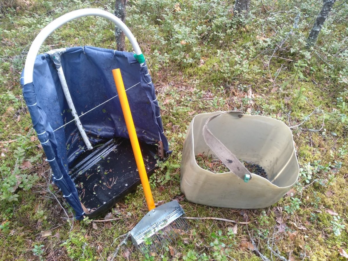 WhatsApp Image 2023-07-24 at 20.52.40(1).jpeg