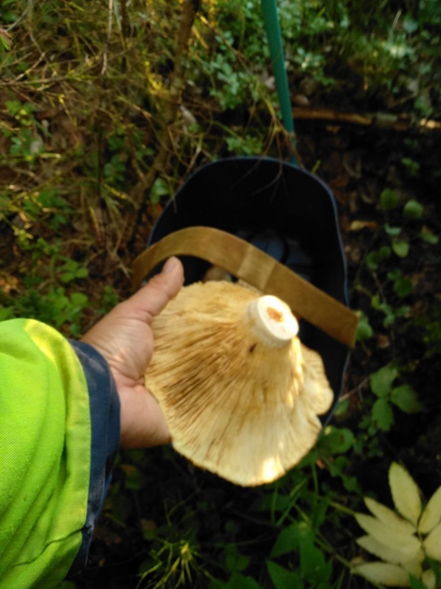 WhatsApp Image 2024-07-29 at 20.56.06.jpeg