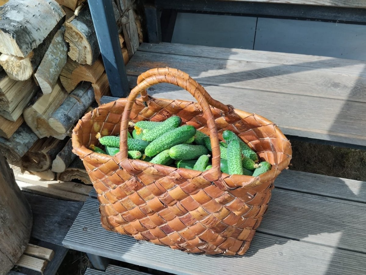 WhatsApp Image 2024-07-29 at 20.59.00.jpeg