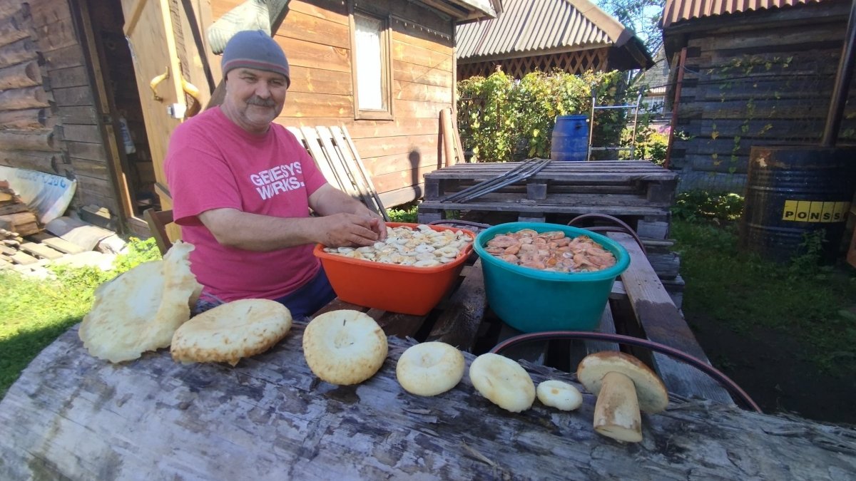 WhatsApp Image 2024-08-25 at 13.07.33.jpeg