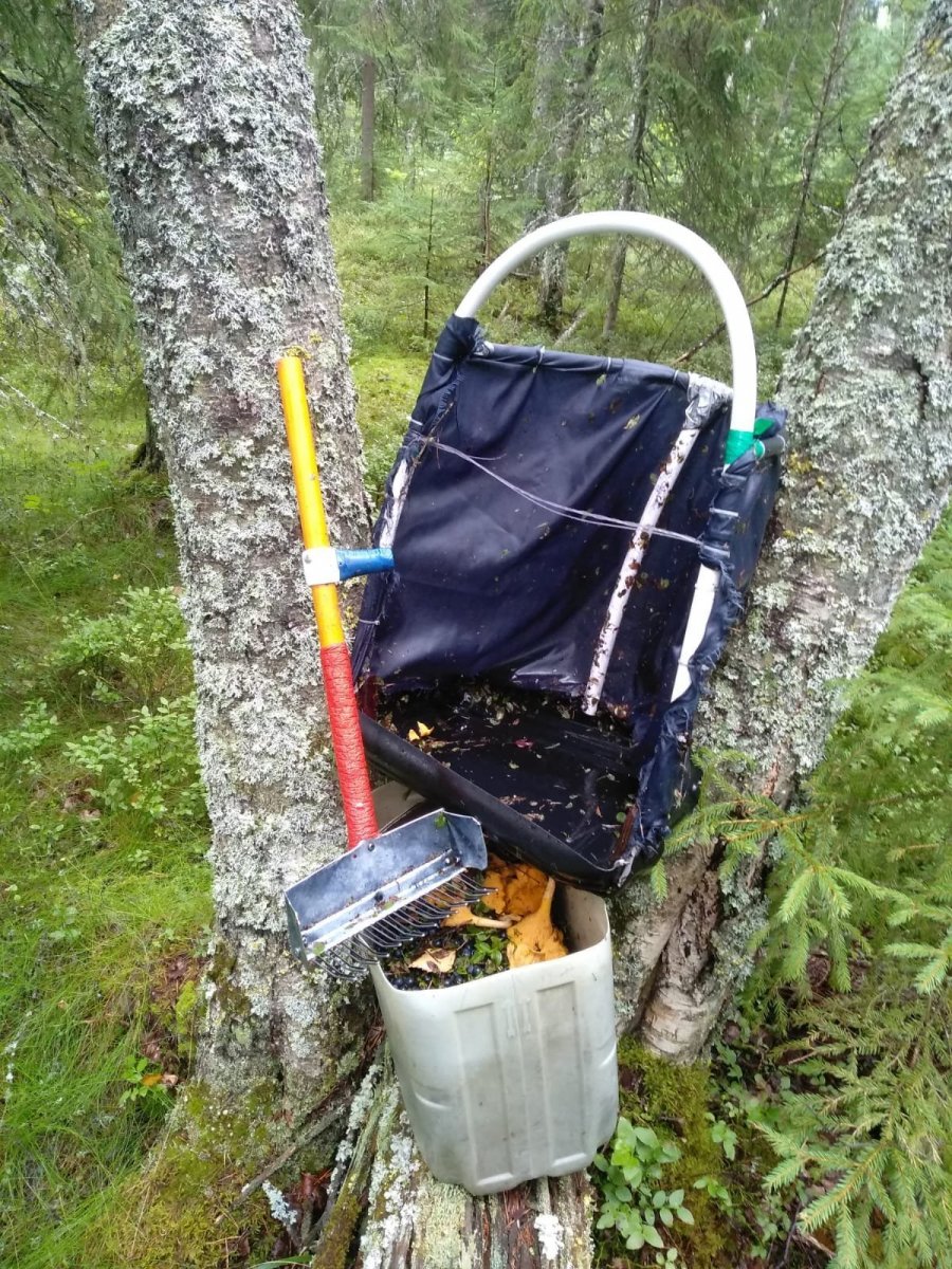 WhatsApp Image 2024-08-18 at 18.04.46.jpeg