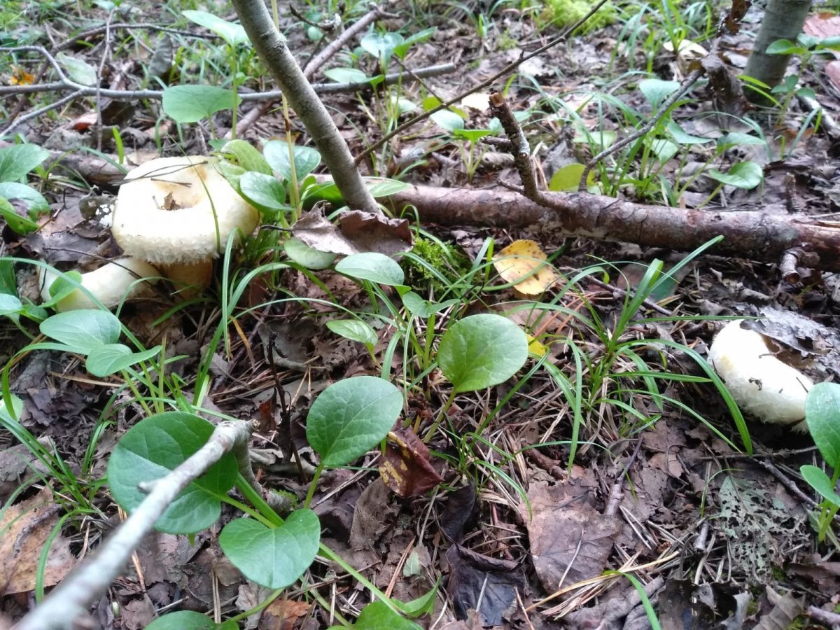 WhatsApp Image 2024-08-28 at 10.20.07(2).jpeg