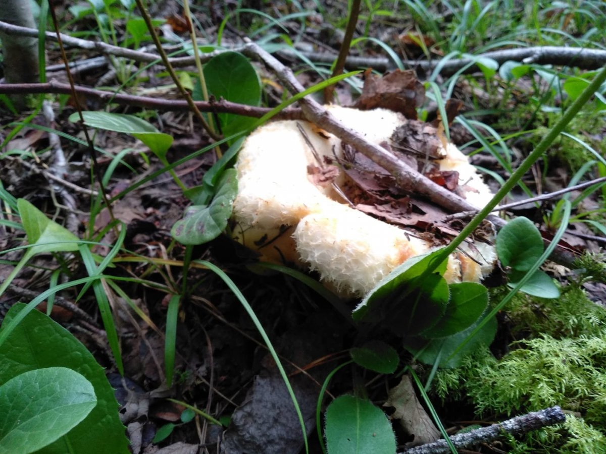 WhatsApp Image 2024-08-28 at 10.20.07(1).jpeg