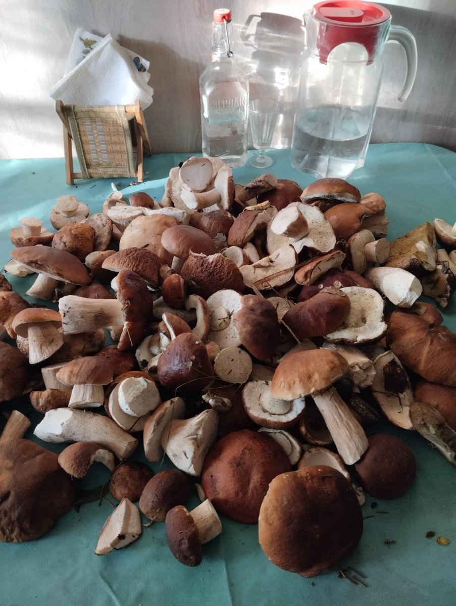 WhatsApp Image 2024-08-18 at 18.45.35.jpeg