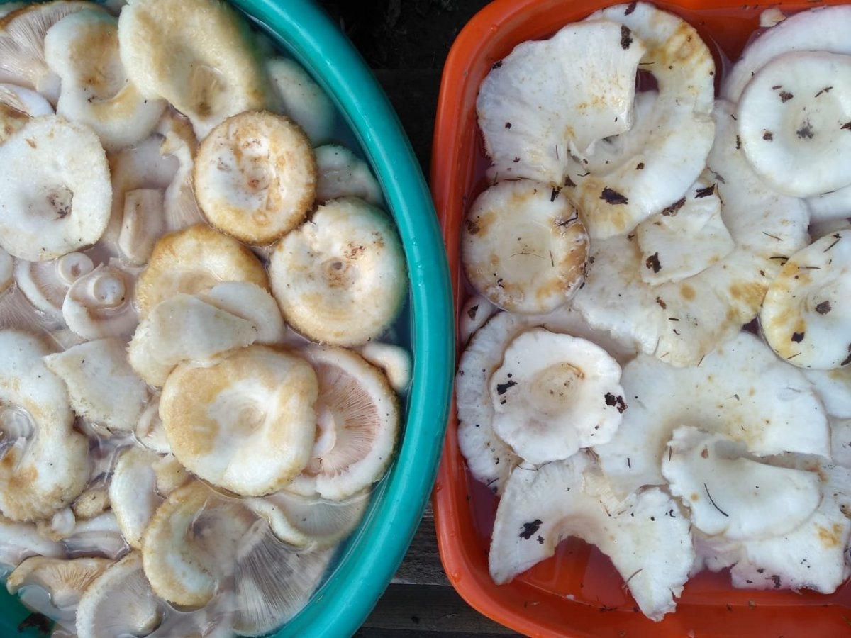 WhatsApp Image 2024-08-29 at 18.54.39.jpeg