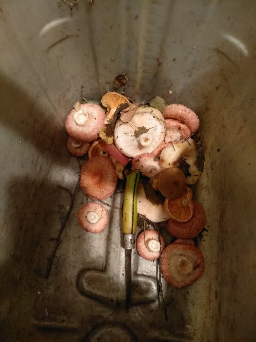 WhatsApp Image 2024-08-18 at 18.04.42.jpeg