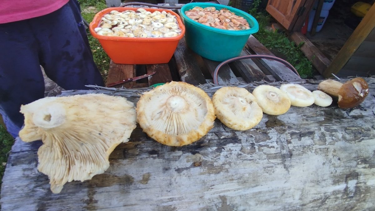 WhatsApp Image 2024-08-25 at 13.07.32.jpeg