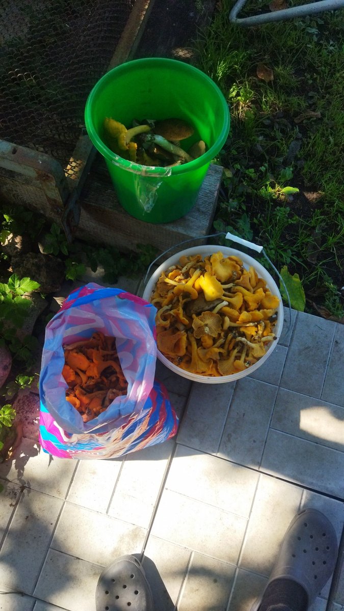 IMG-20240809-WA0012.jpeg