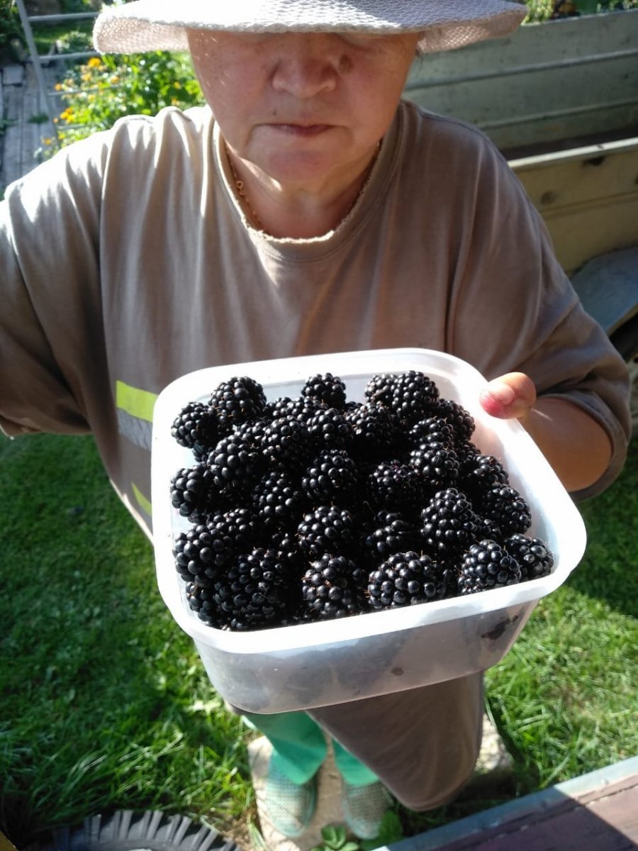 WhatsApp Image 2024-09-11 at 07.59.29(1).jpeg