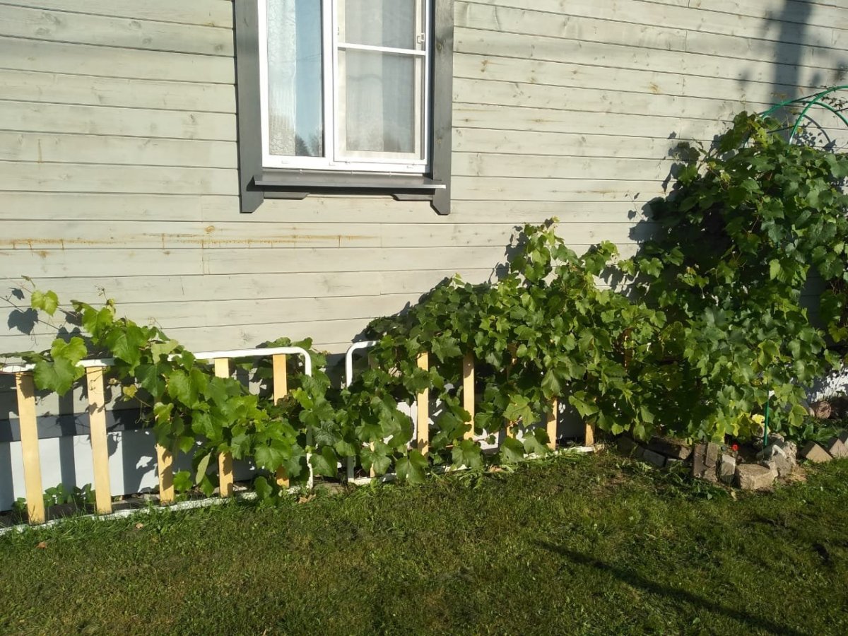 WhatsApp Image 2024-09-11 at 07.59.27.jpeg