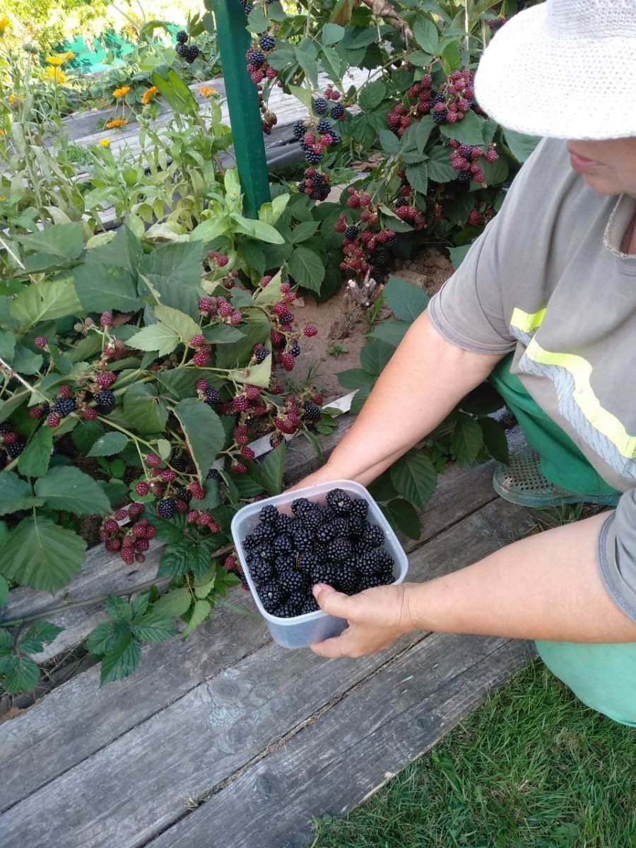 WhatsApp Image 2024-09-11 at 07.59.29.jpeg