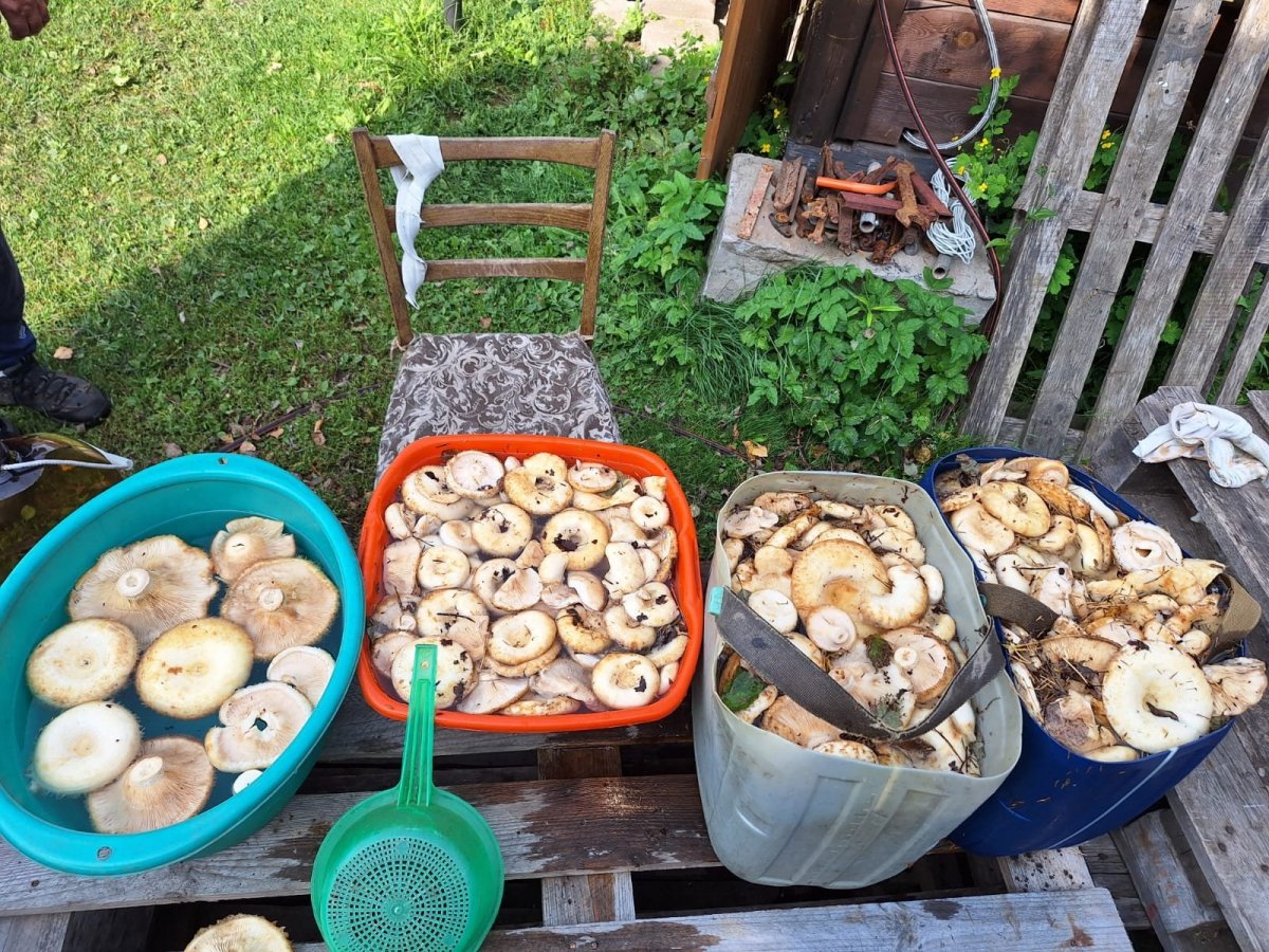 WhatsApp Image 2024-09-03 at 14.54.44.jpeg