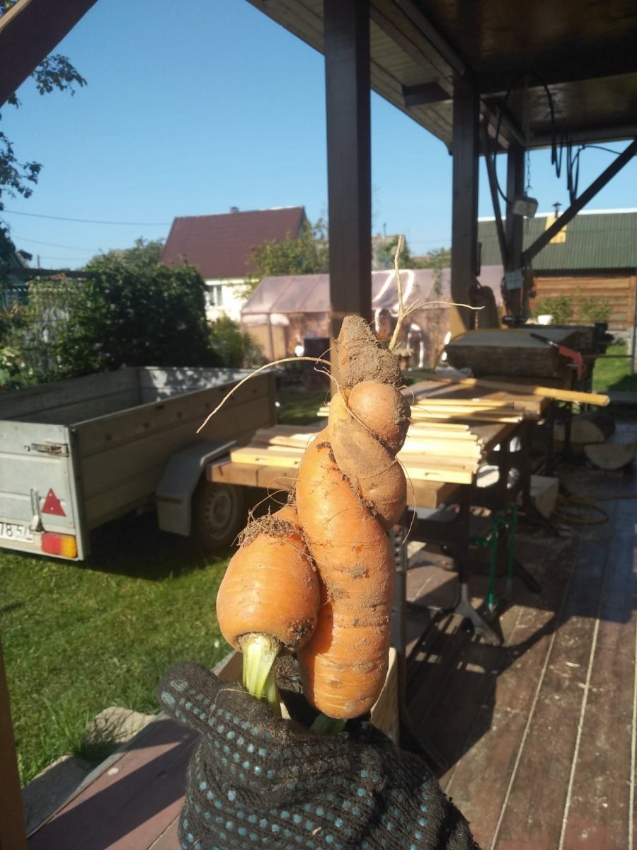 WhatsApp Image 2024-09-19 at 09.31.12.jpeg