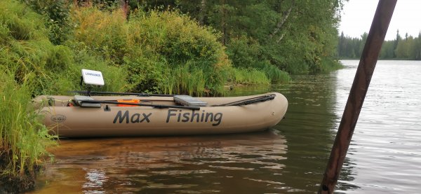 МФ реинкарнация