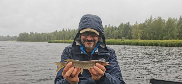 Пошло порево