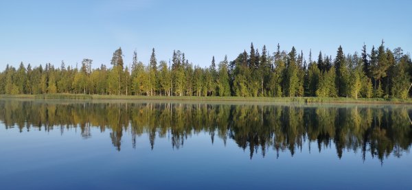 Погода огонь