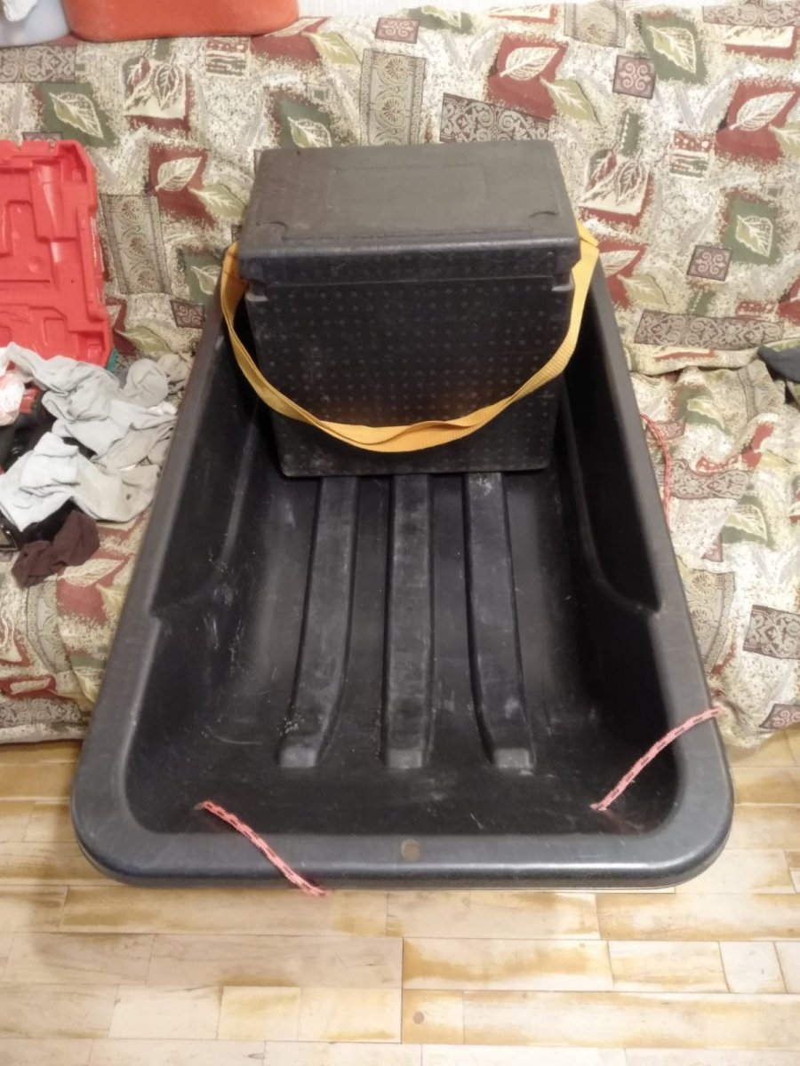 WhatsApp Image 2024-10-10 at 09.57.08.jpeg