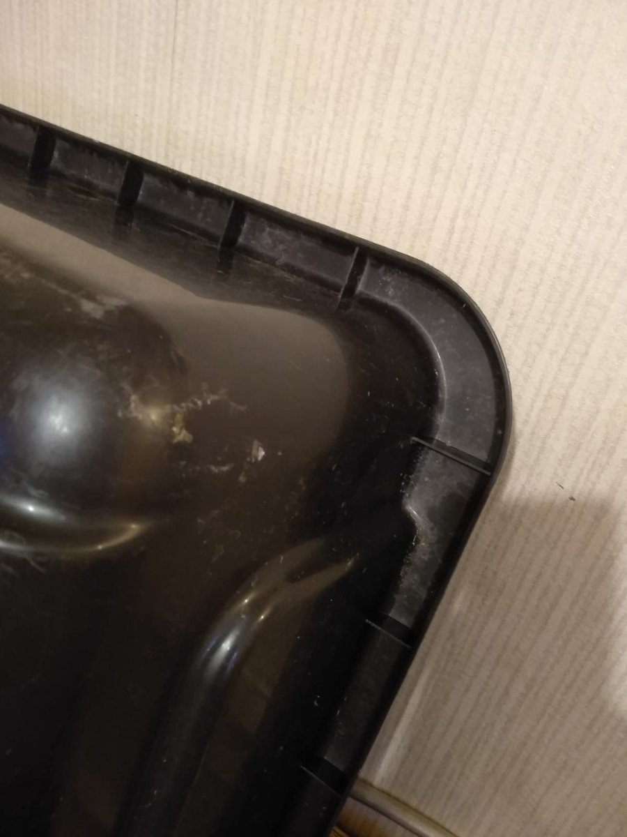 WhatsApp Image 2024-10-10 at 09.50.32.jpeg